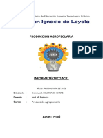 Informe Tecnico de Aves