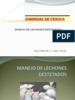 Clase 6. Manejo de Lechones Destetados, Gorrinos y Verracos