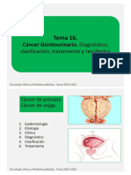 Tema 16, Genitourinario