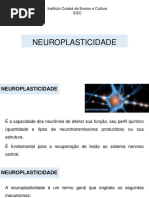 Aula 05 - Neuroplasticidade