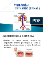 Patologias Sitema Urinario