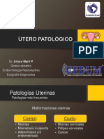 Utero Patologico