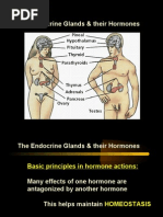 The Endocrine Glands & Their Hormones