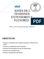 4, Lesión de Tendones Extensores y Flexores LFBV