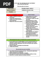 Fichas Descriptivas