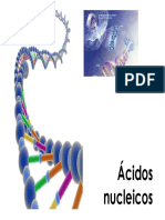 Ácidos Nucleicos (Modo de Compatibilidad)