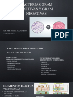 5 Bacterias Gram Positivas y Negativas