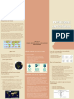 Proyeciones Cartograficas Folleto