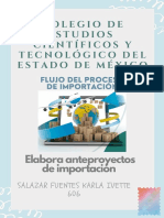 Flujo Del Proceso de Importaion