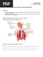 Cuaderno de Trabajo