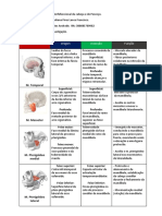 Atividade Músculos Da Mastigação