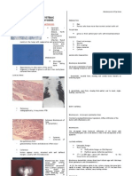 Systemic Mycoses: Blastomycosis