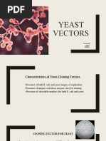 Yeast Vectors: Presented by S.vishali 19btbt037