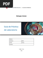 Guia de Practica 02 Biomoléculas