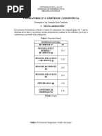 Informe 4. GR 7 Limite de Consistencia