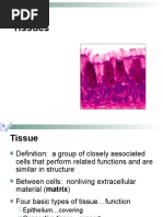 Lecture 4 Tissue