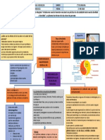 Ciencia-tecnologia-2-SECUNDARIA-explicamos Los Efectos de La Luz Sola en Las Personas