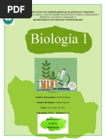 Tarea Semana 4 en Aula