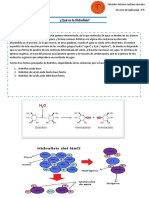 Qué Es La Hidrolisis
