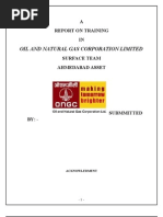 A Report of Training in ONGC