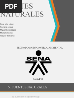 Fuentes Naturales