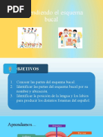 Aprendiendo El Esquema Bucal, Punto Articulatorio