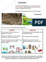 Repaso de Naturales21