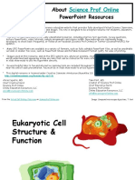 Eukaryotic Cell Structure Function Lecture PowerPoint VCBCCT