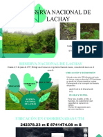 Reserva Nacional de Lachay