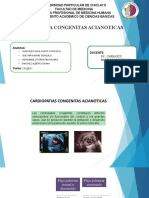 Cardiopatias Congenicas Acianoticas