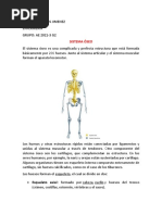 Sistema Oseo, Muscular y La Piel Anatomía