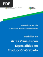 17 Bachiller en Artes Visuales Con Especialidad en Producción-Grabado