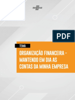 Ebook Organizacao Financeira