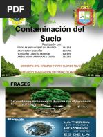 Grupo 4 - Contaminacion Del Sueloj