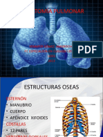 Anatomia Pulmonar