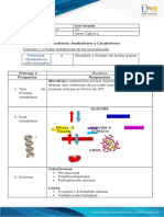 Formato de Entrega Tarea 4