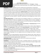 Texto Oficial Pat Gral-2021