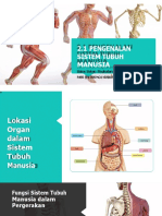 Sains Sukan T4 KSSM 2 1 PENGENALAN SISTEM TUBUH MANUSIA