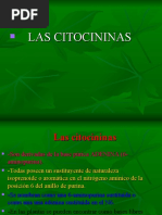 Citocininas