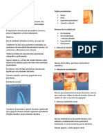 Periodoncia 1