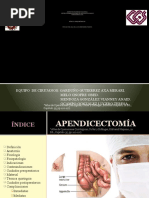 APENDICECTOMIA