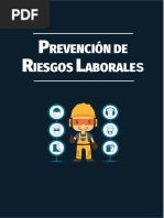 Prevencion Riesgos Laborales