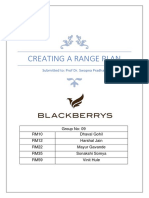 Team 09 Blackberrys V2