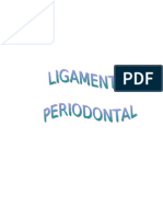 Ligamento Periodontal