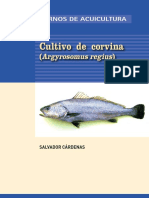 Cuaderno Corvina Web