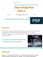 12.infecciones Inespecíficas Urología