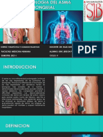 Asma Bronquial Fisiopatologia