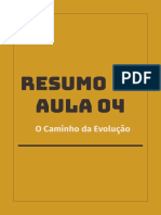 Resumo Aula 04 1