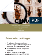 CHAGAS