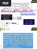 Tema 2 (Parte 2) - Bioenergetica, Bioquimica II